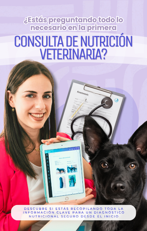 Anamnesis nutricional veterinaria