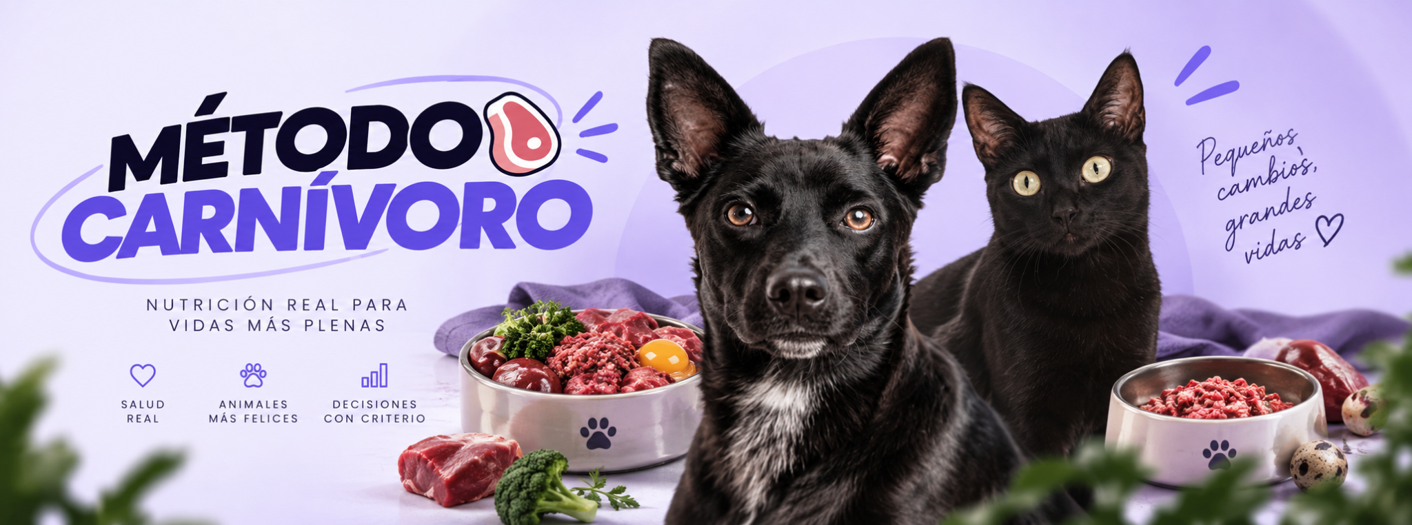 Método Carnívoro