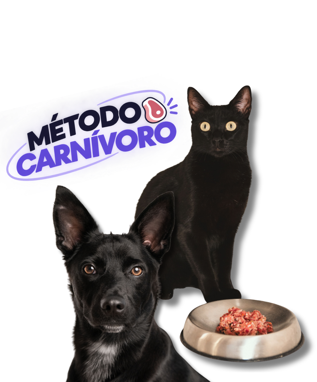 Raquel Pavo - nutrición clínica veterinaria